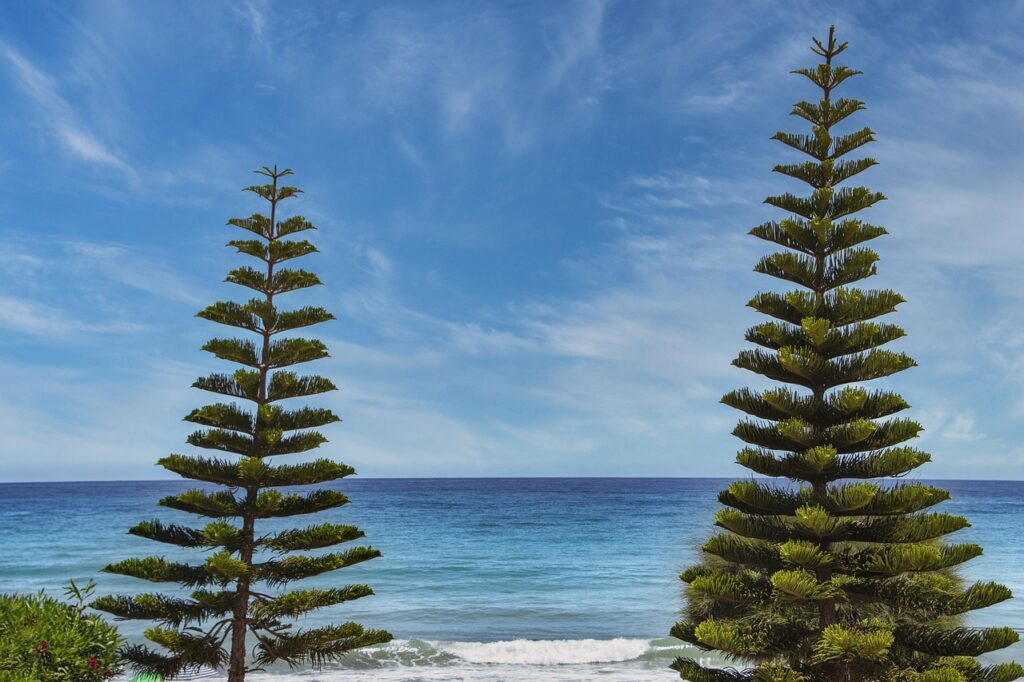 thin hair layered bob for fine hair over 50