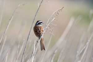 trade in trade up guitar center