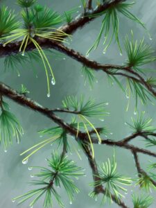 urine sinks to bottom of toilet bowl