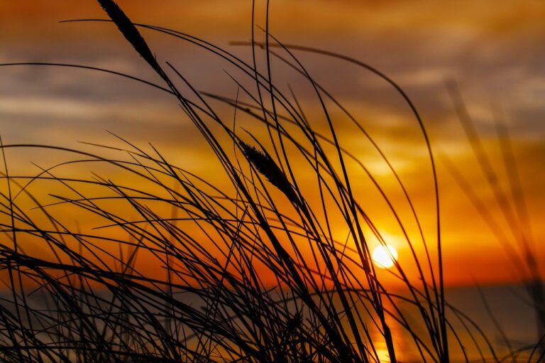 verizon mobile protect multi device worth it