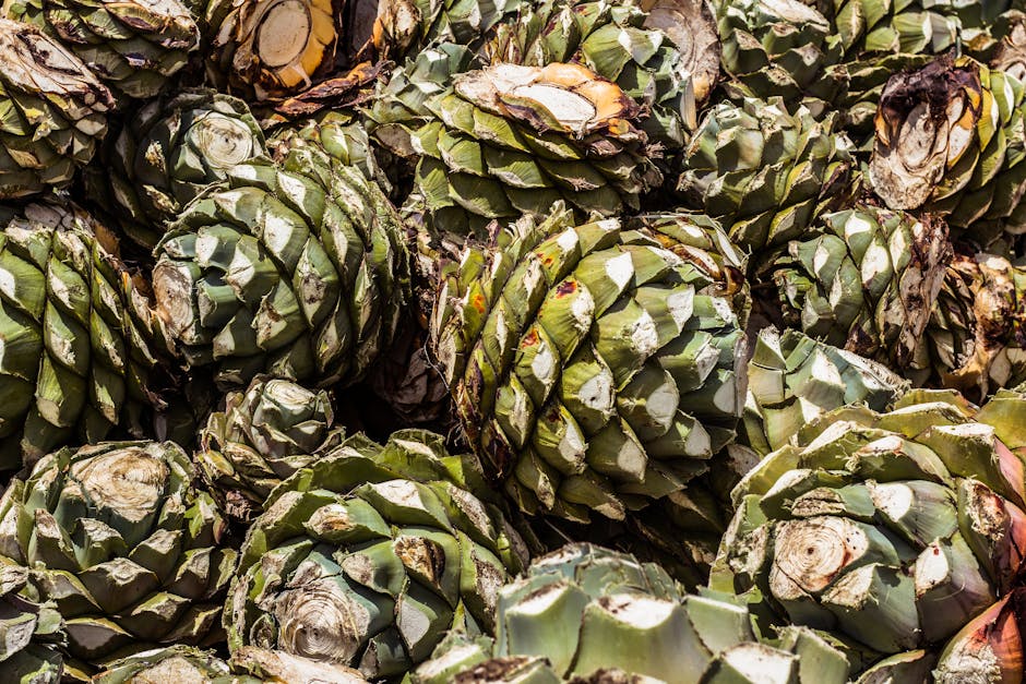 oaxaca traditional food