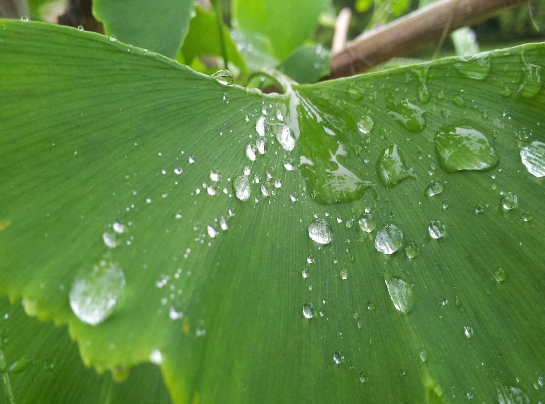 A Quick Guide to Converting Any Weight: Pounds to Kilograms and Back