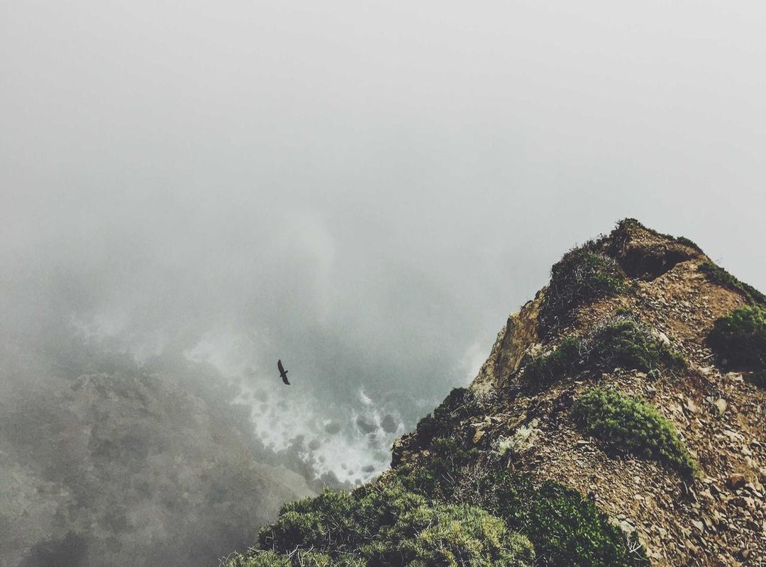 Going the Other Way: How to Convert Centimeters to Inches