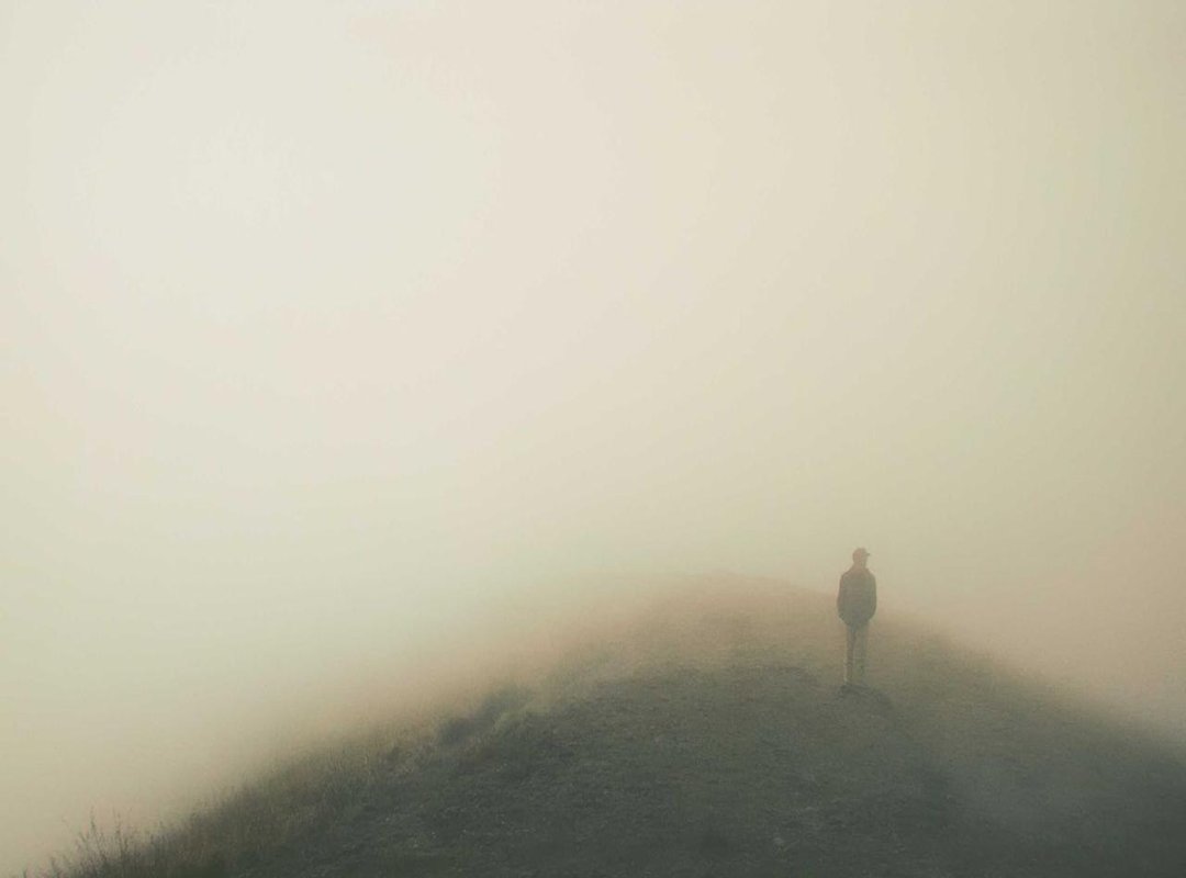 From Reality TV to Documentaries: How Reddit Reacts