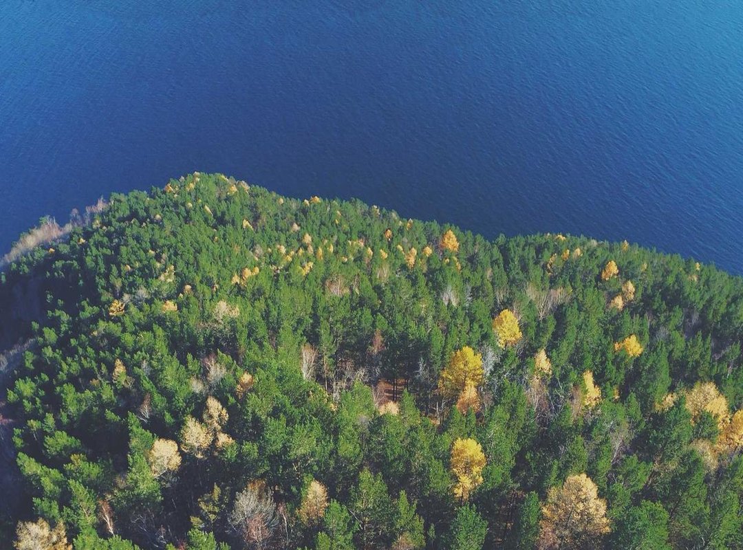 How to Get an Afro Hairstyle in Animal Crossing: New Horizons