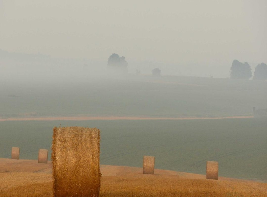 Mastering the Moves: A Step-by-Step Guide to the Dance