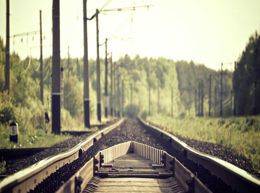 Fueling Your Fitness: What to Eat for a Stronger Physique