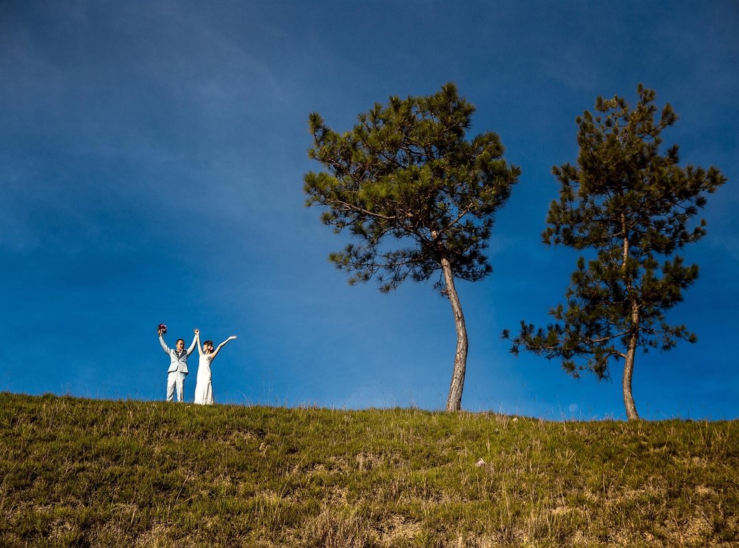 Is Vymanga Safe? What Users Need to Know